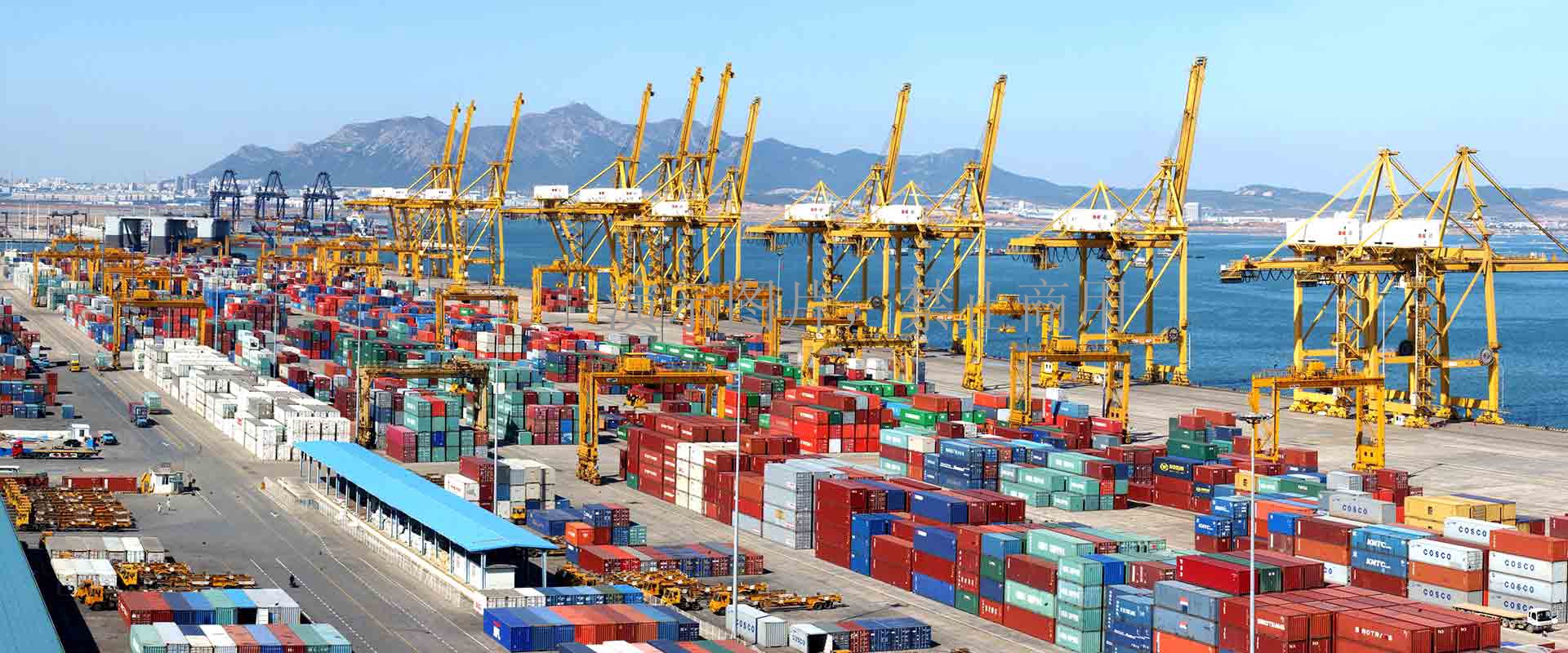 1582083870823278.jpg 1.jpg